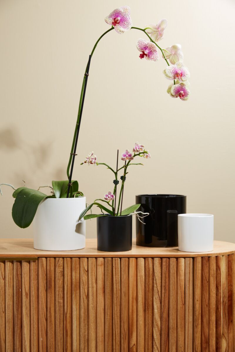Cercle Pot