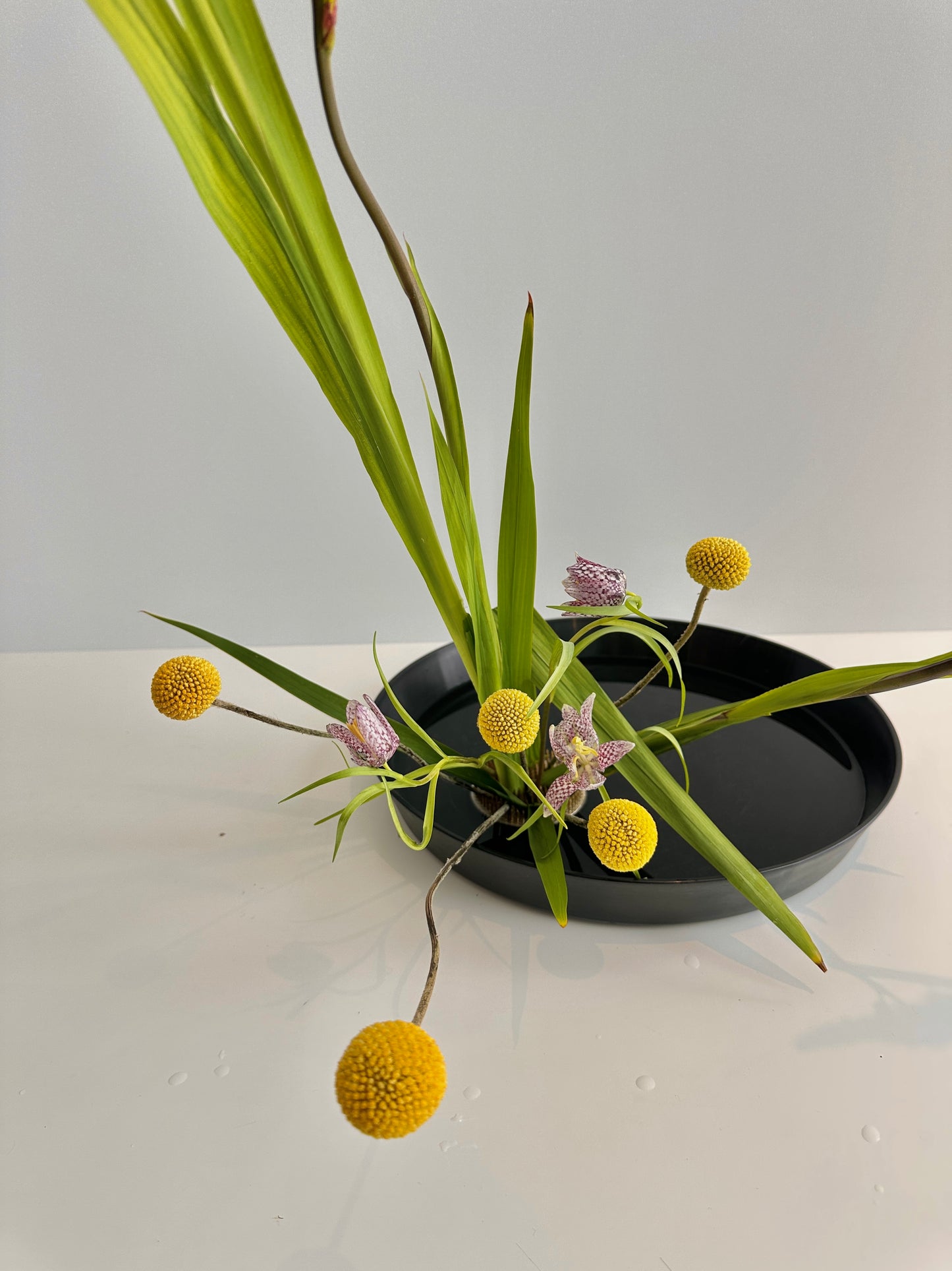 Floral arrangement with yellow flowers and green leaves on a black suiban against a white background