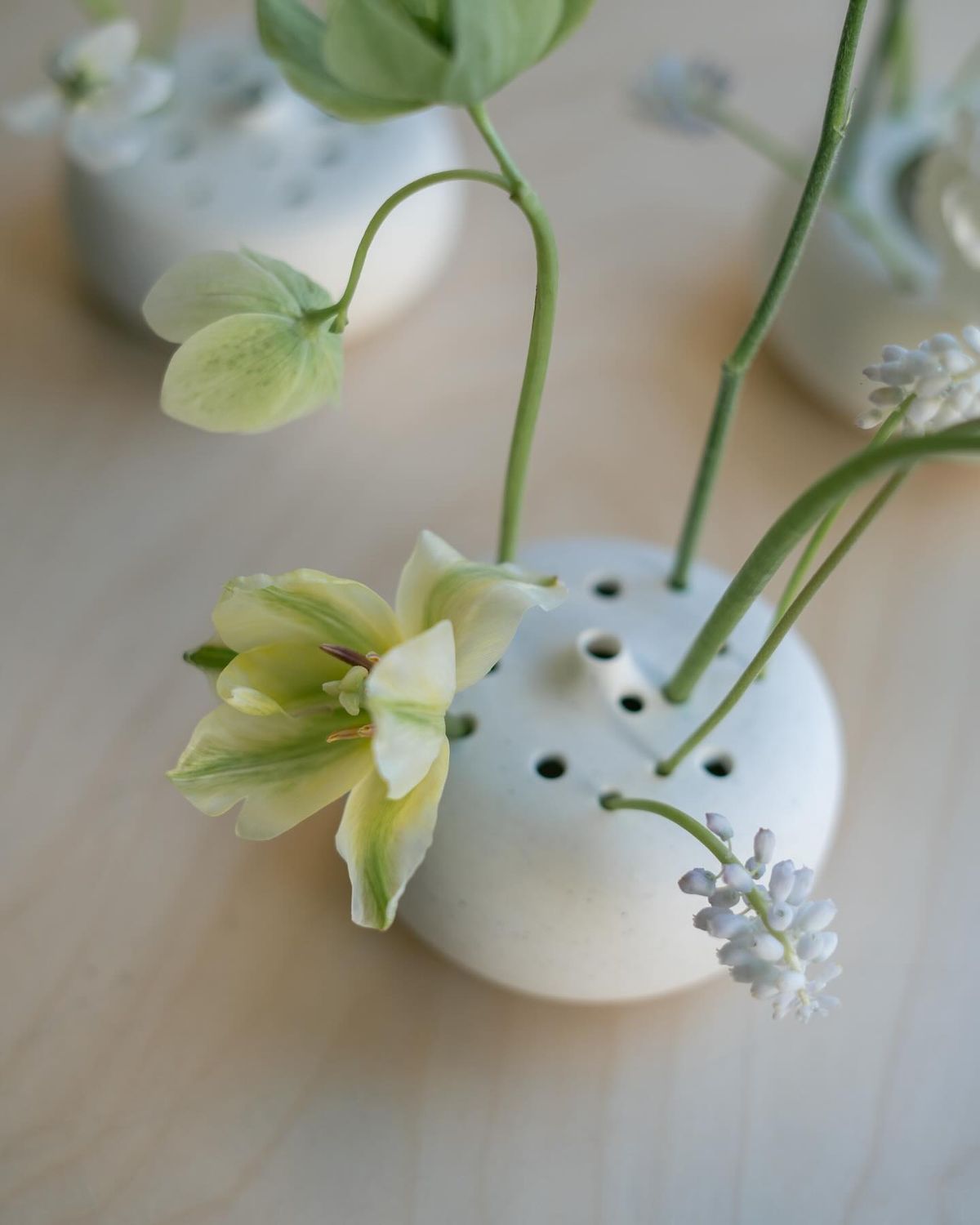 White vase with green leaves and small white flowers on a light wooden surface