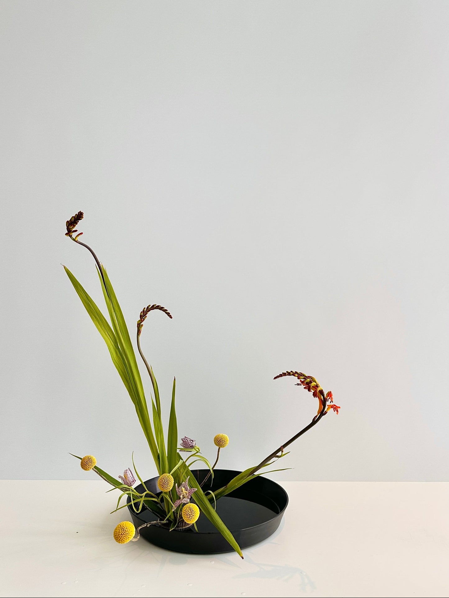 Floral arrangement in a black vase on a white surface with a light gray background