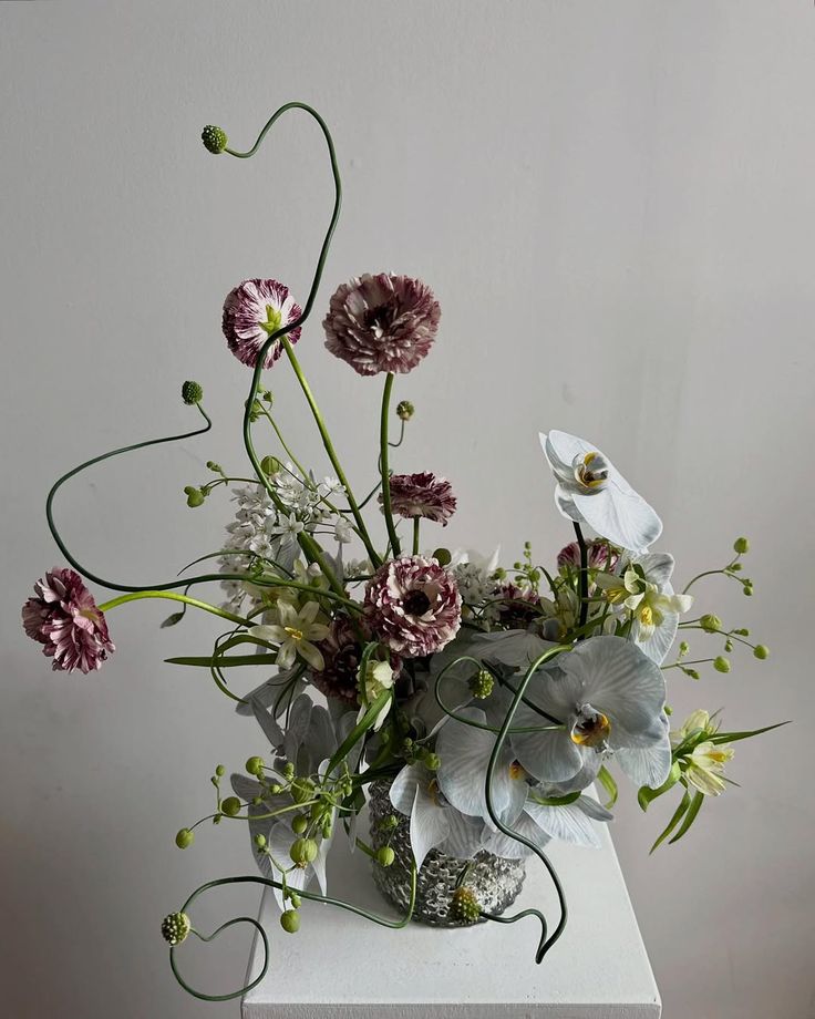 A floral arrangement featuring burgundy ranunculus, white orchids, and green curly stems in a textured glass vase, displayed on a white pedestal against a neutral light gray background.