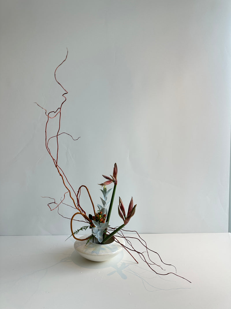 Small plant in a white pot against a light gray wall