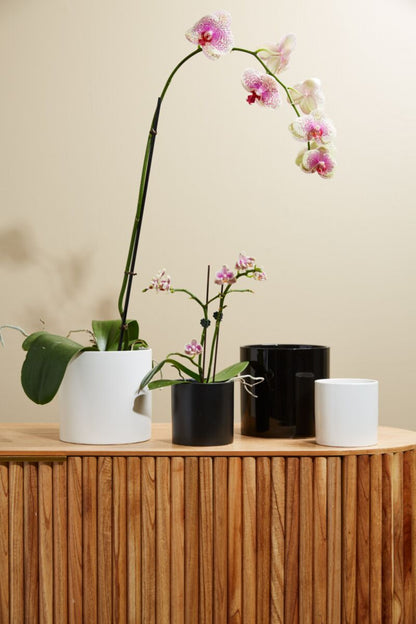 Cercle Pot