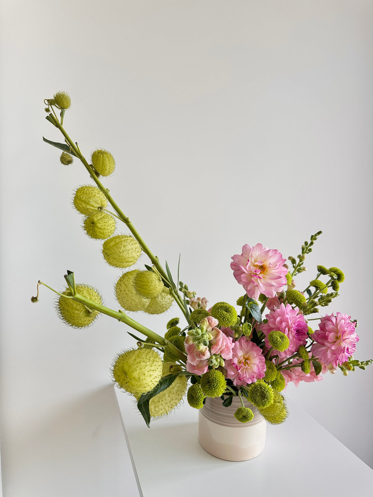 A floral arrangement featuring pink dahlia-like flowers and textured pale green seed pods in a small white ceramic vase, set against a clean white background.