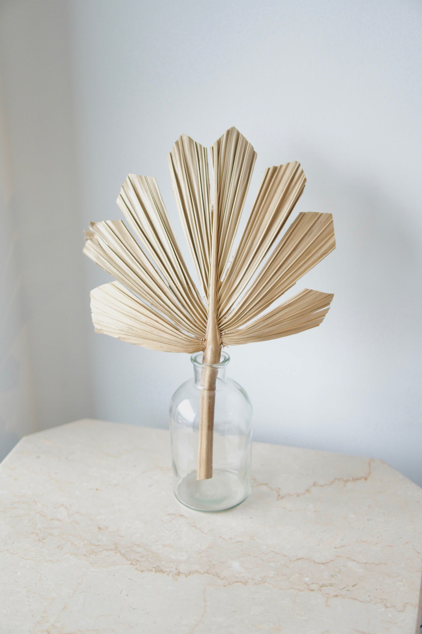 Palm Leaf