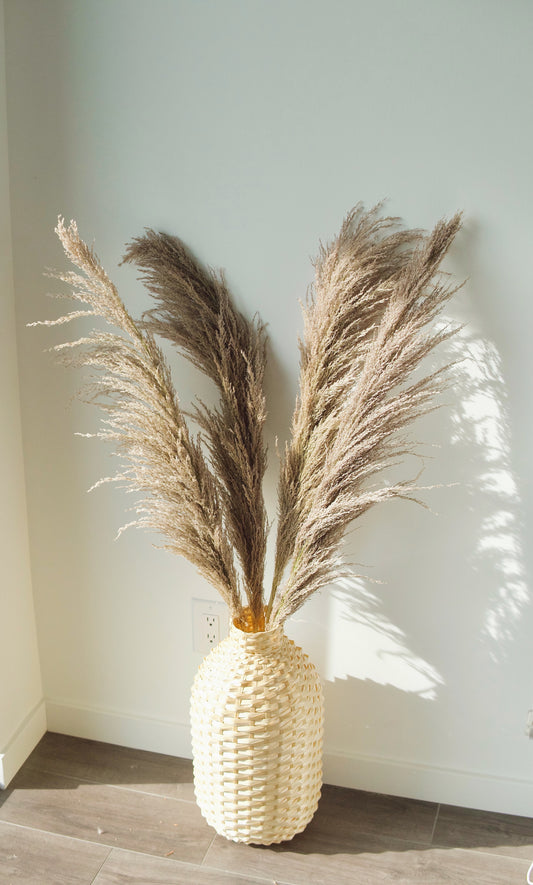Large Pampas Grass