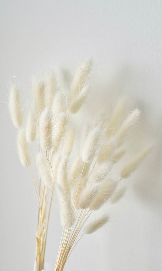 Bunny Tails Bundle